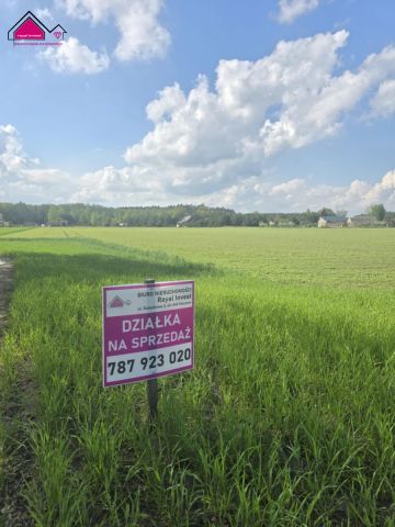 Działka rekreacyjna Skrzynka. Zdjęcie 9