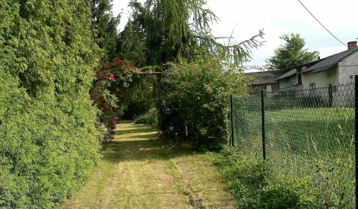 Działka siedliskowa Wolica