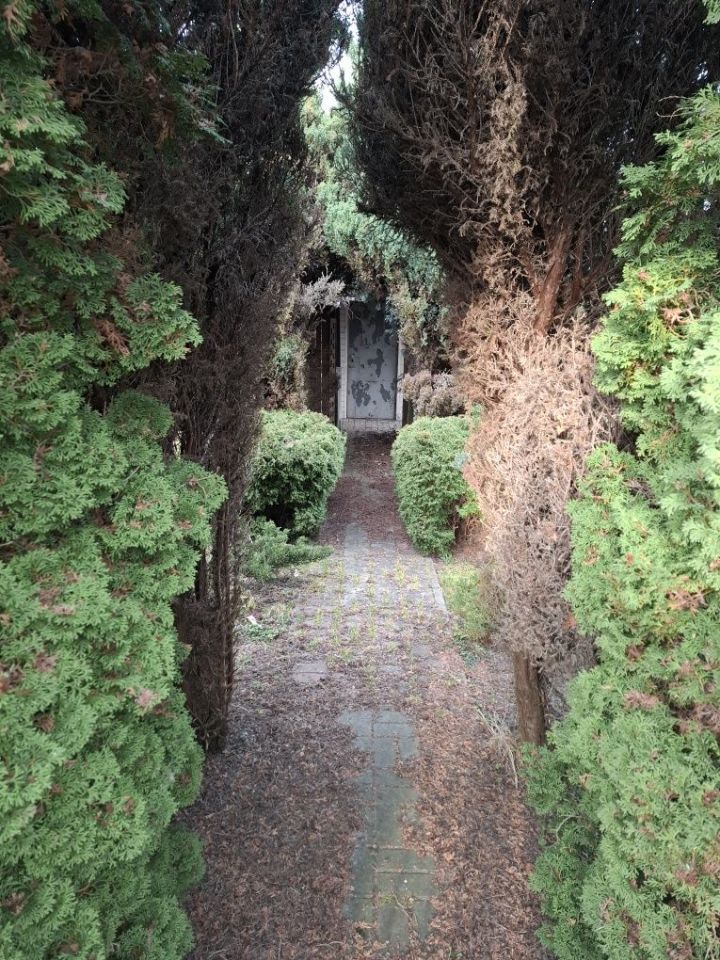 Działka rod Bełchatów. Zdjęcie 6