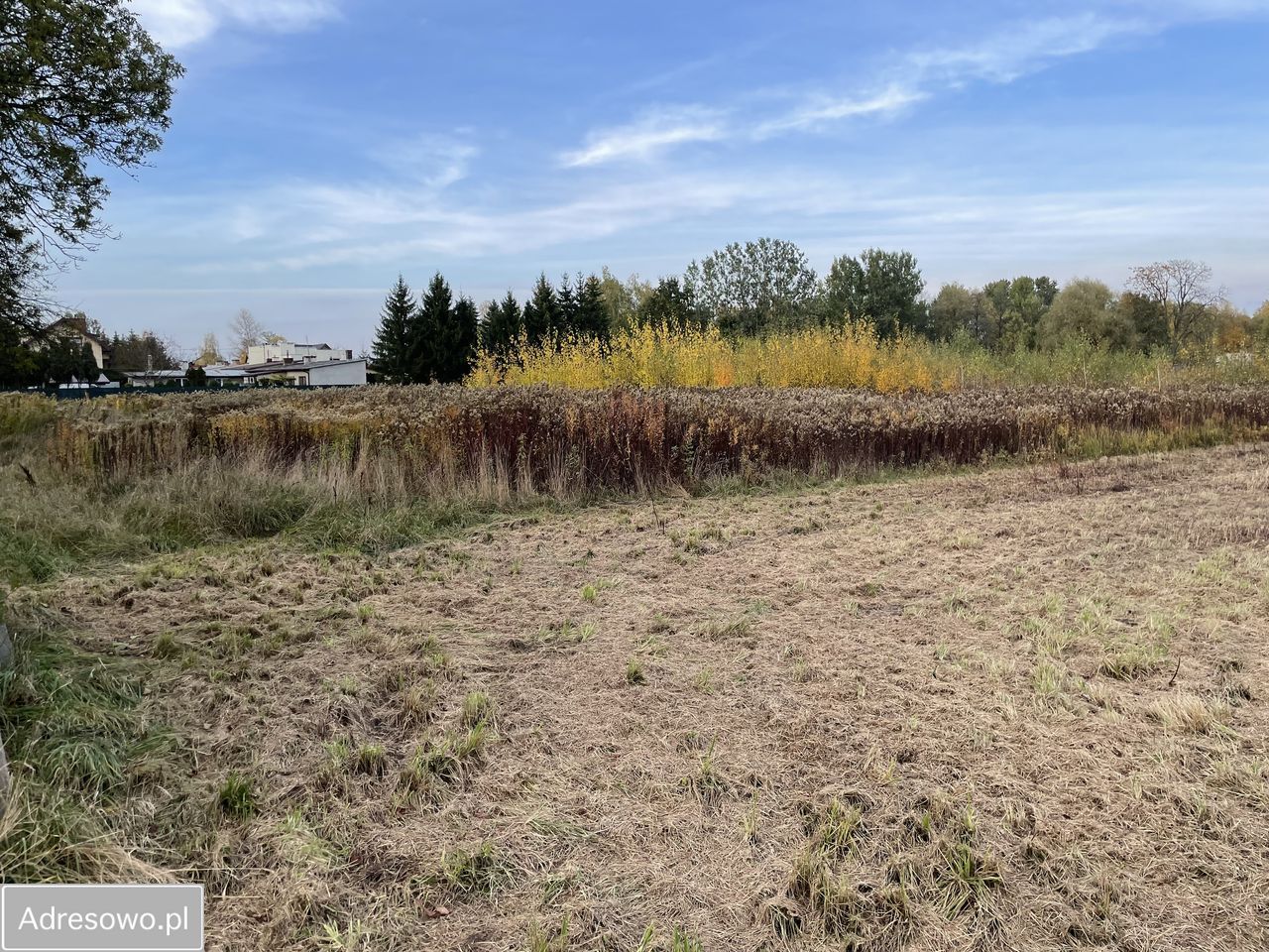 Działka inwestycyjna Opacz-Kolonia. Zdjęcie 2