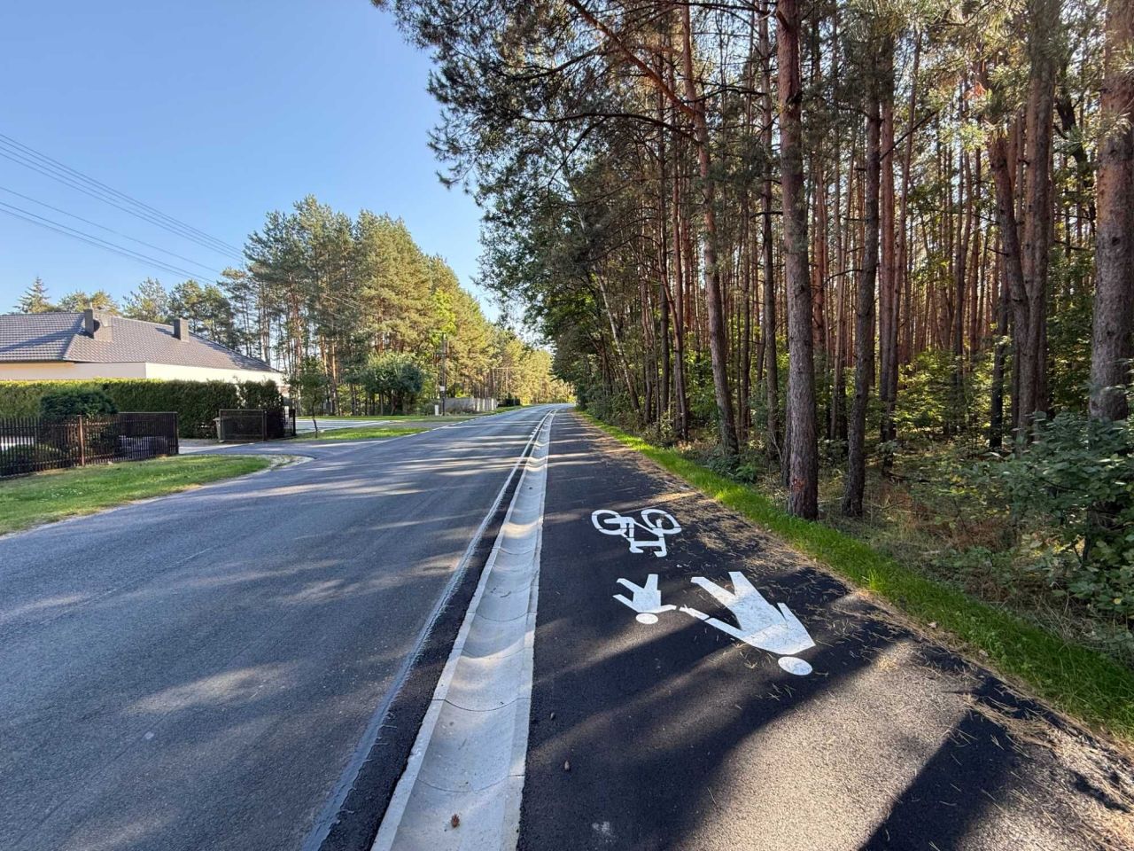 Działka leśna Pysznica, ul. Podlesie. Zdjęcie 2