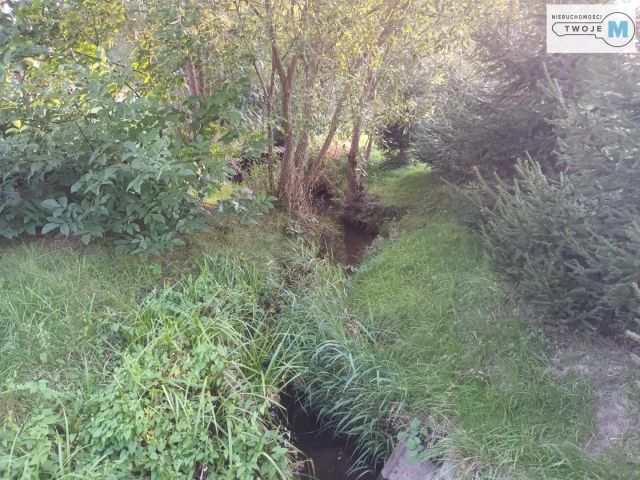 Działka rekreacyjna Bieliny. Zdjęcie 15