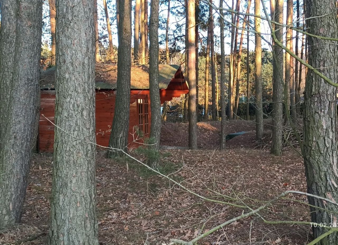 Działka leśna Swolszewice Duże, ul. Kryształowa. Zdjęcie 6