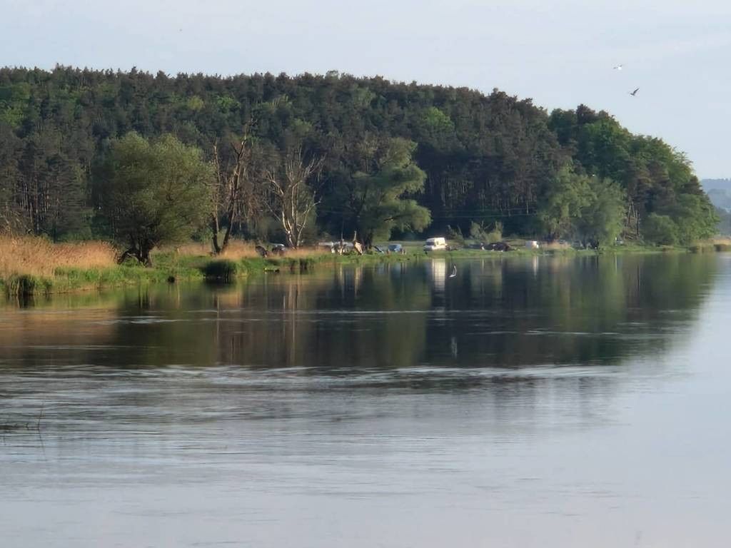 Działka budowlana Ognica. Zdjęcie 6