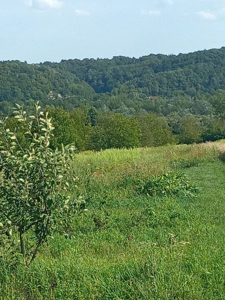 Działka Wojszyn. Zdjęcie 2