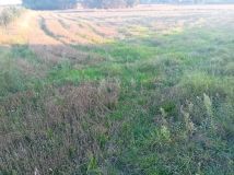 Działka rolna Romaszki