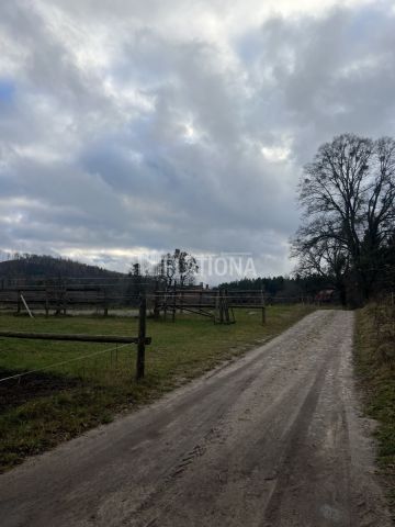 Działka rolna Paraszyno. Zdjęcie 12