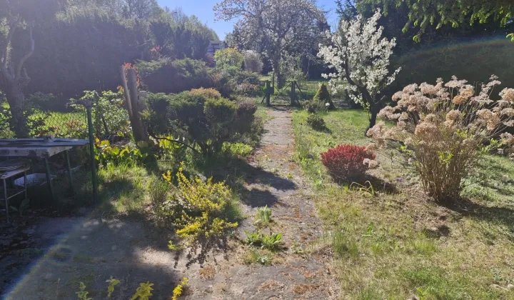 Działka rod Poznań Stare Miasto, ul. Jarosławska