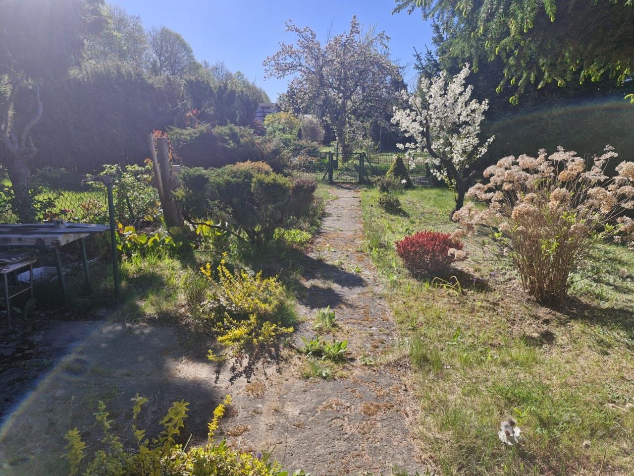 Działka rod Poznań Stare Miasto, ul. Jarosławska. Zdjęcie 1