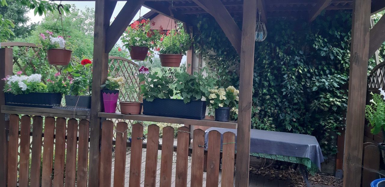 Działka rod Legnica, ul. Wielkiej Niedźwiedzicy. Zdjęcie 6