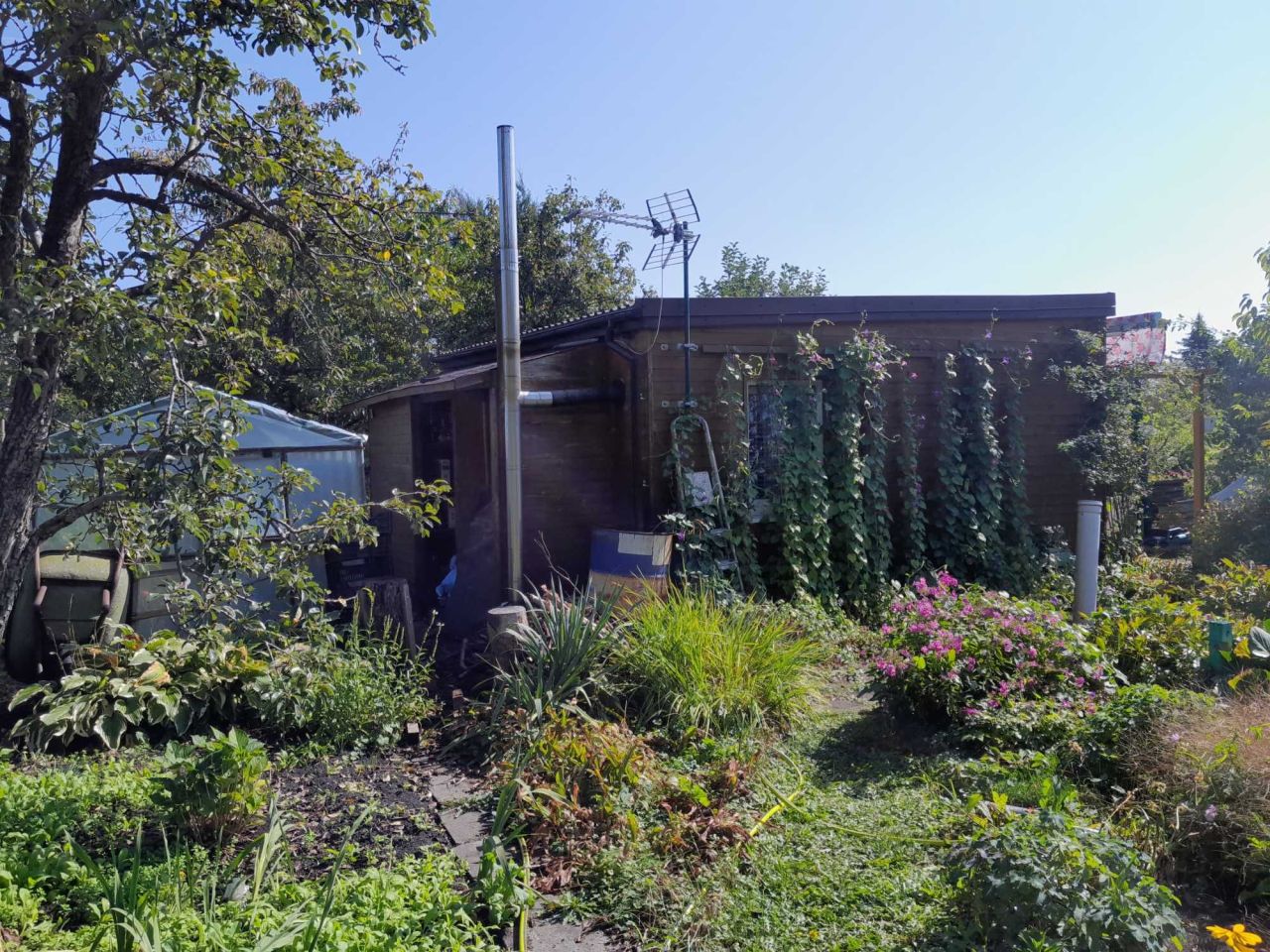 Działka rod Toruń Wrzosy. Zdjęcie 2