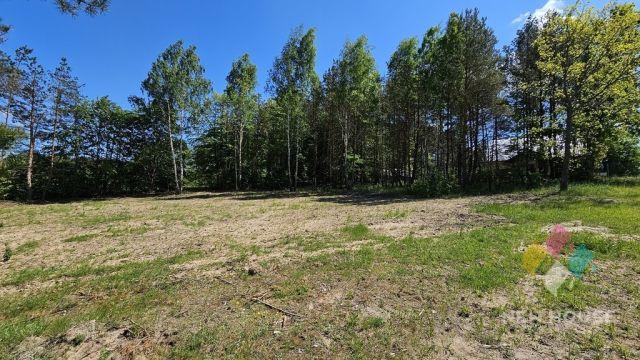 Działka Prawdowo. Zdjęcie 6