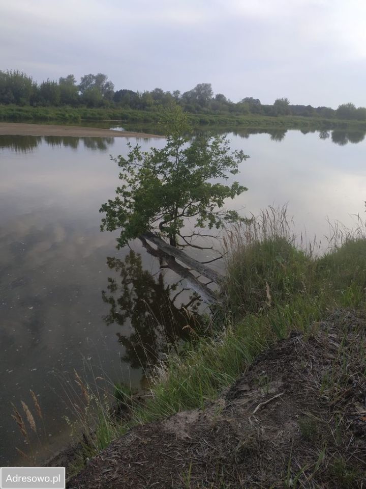 Działka rolno-budowlana Ślepowrony. Zdjęcie 13