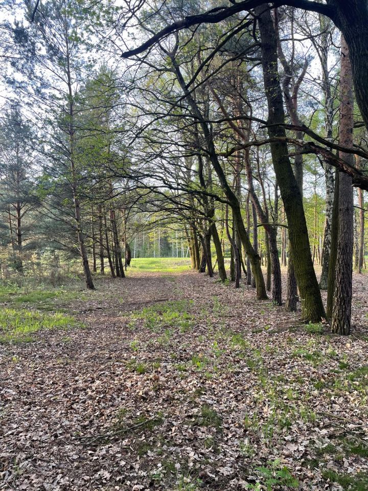 Działka budowlana Skierniewice Feliksów, ul. Przechodnia. Zdjęcie 6