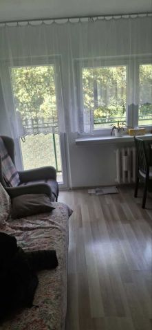 Mieszkanie 1-pokojowe Łódź Teofilów. Zdjęcie 1
