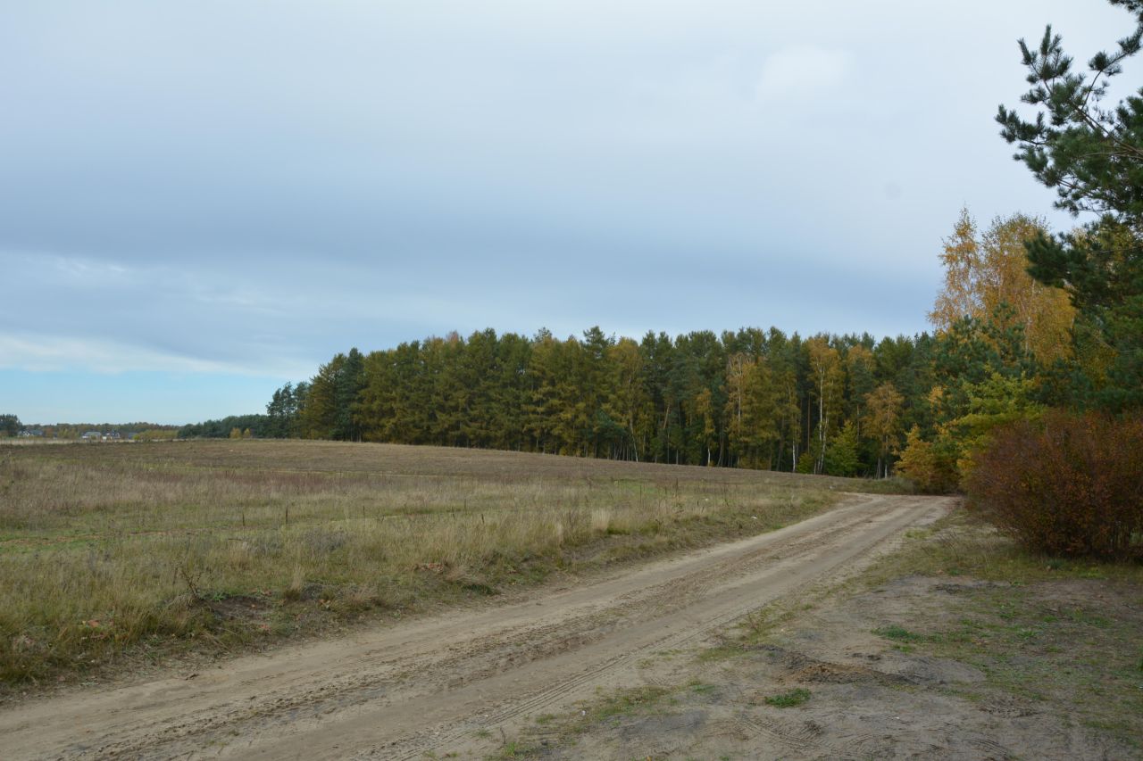 Działka rolno-budowlana Bieszkowice, ul. Polna. Zdjęcie 9