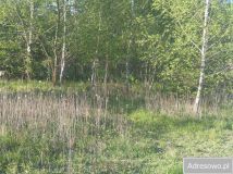 Działka budowlana Nasielsk. Zdjęcie 3