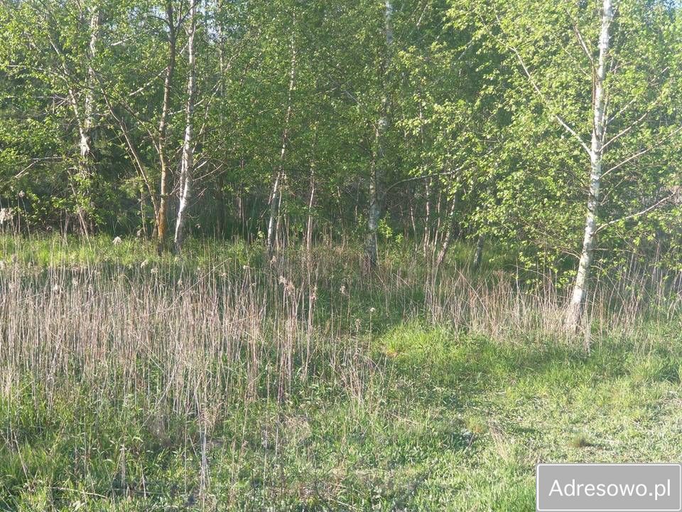 Działka budowlana Nasielsk. Zdjęcie 4