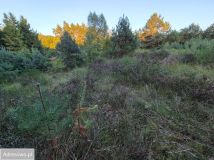 Działka budowlana Jutrzenka. Zdjęcie 1