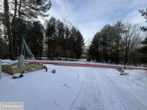 Działka leśna Kuźnica Żerechowska. Zdjęcie 3