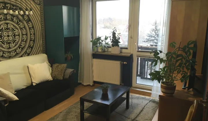 Mieszkanie 3-pokojowe Warszawa Białołęka, ul. Przylesie