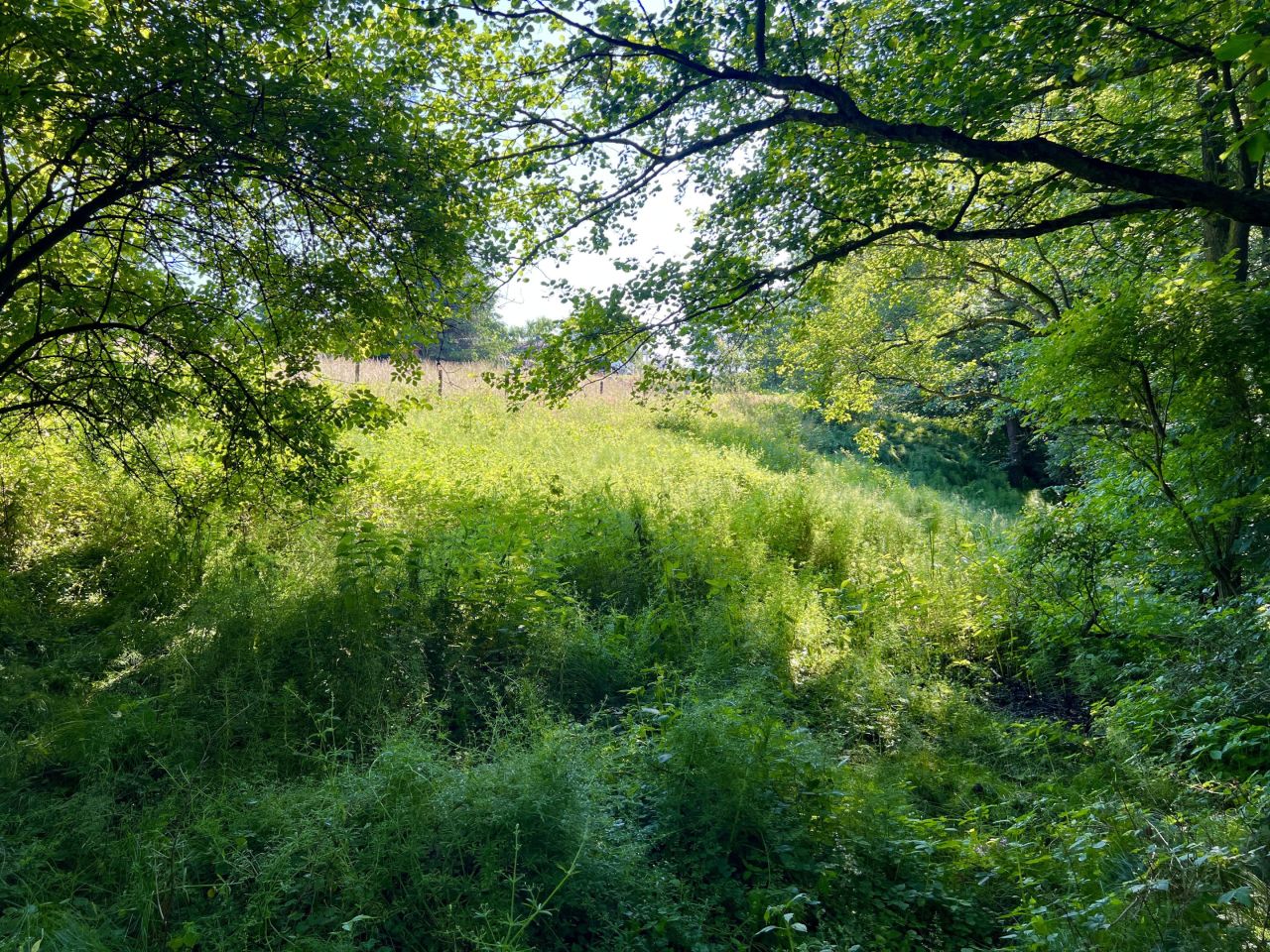 Działka budowlana Pszów, Pszów. Zdjęcie 17