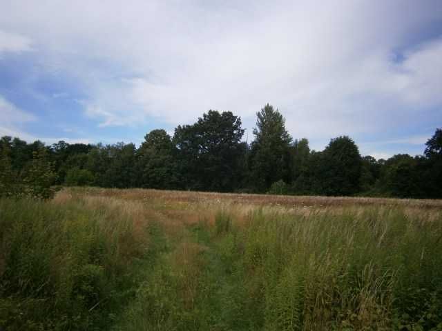 Działka budowlana Zgorzelec, ul. Bolesławiecka. Zdjęcie 3