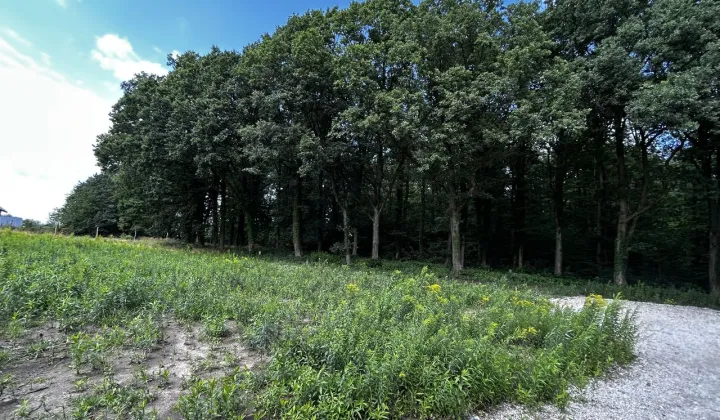 Działka budowlana Siemianice, ul. Cicha