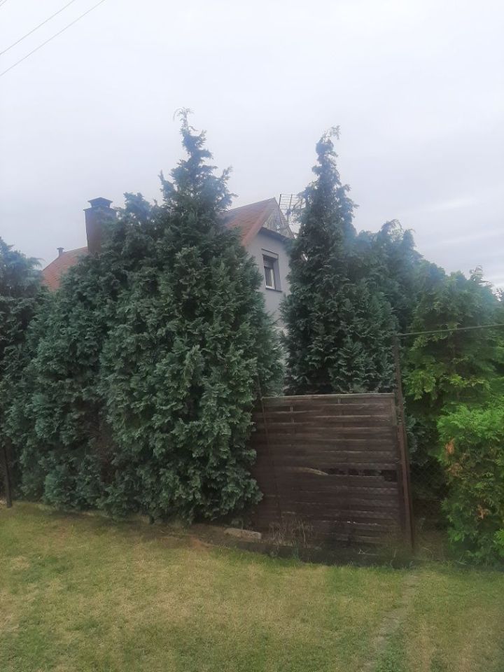 Działka rod Bydgoszcz, ul. Toruńska. Zdjęcie 5