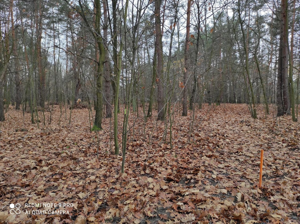 Działka siedliskowa Rudna Mała. Zdjęcie 5