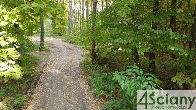 Działka budowlana Sękocin-Las. Zdjęcie 4