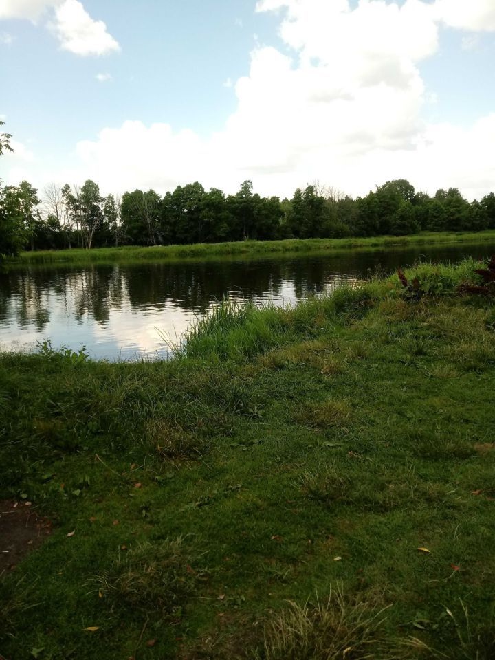 Działka rekreacyjna Ostrykół Dworski, ul. Letniskowa. Zdjęcie 5