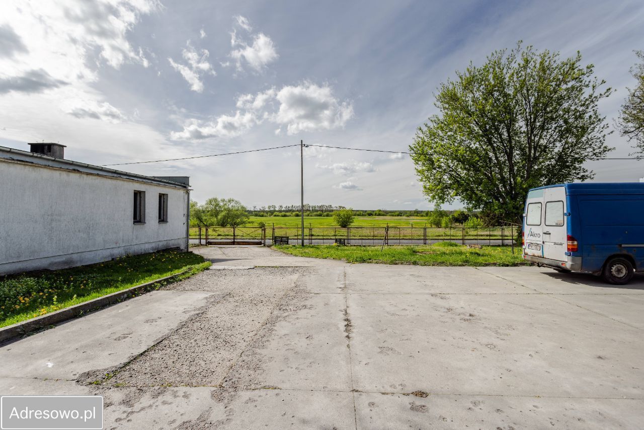 Hala/magazyn Międzychód. Zdjęcie 6