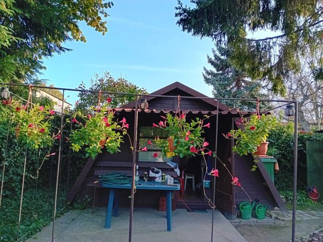 Działka rod Kalisz. Zdjęcie 1