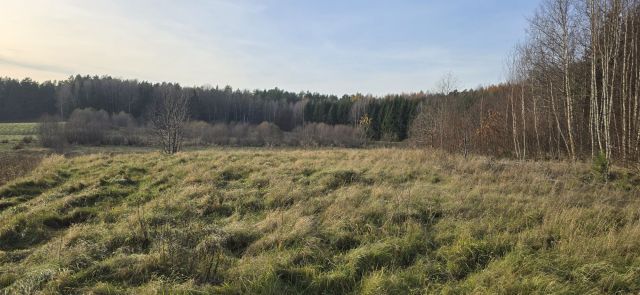 Działka rolna Runowo. Zdjęcie 1