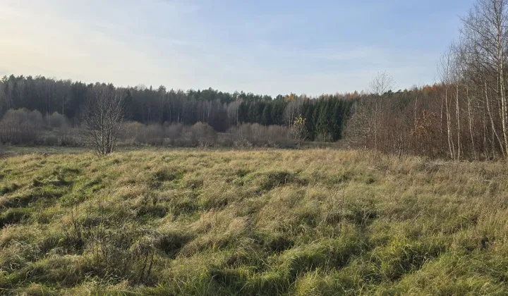 Działka rolna Runowo