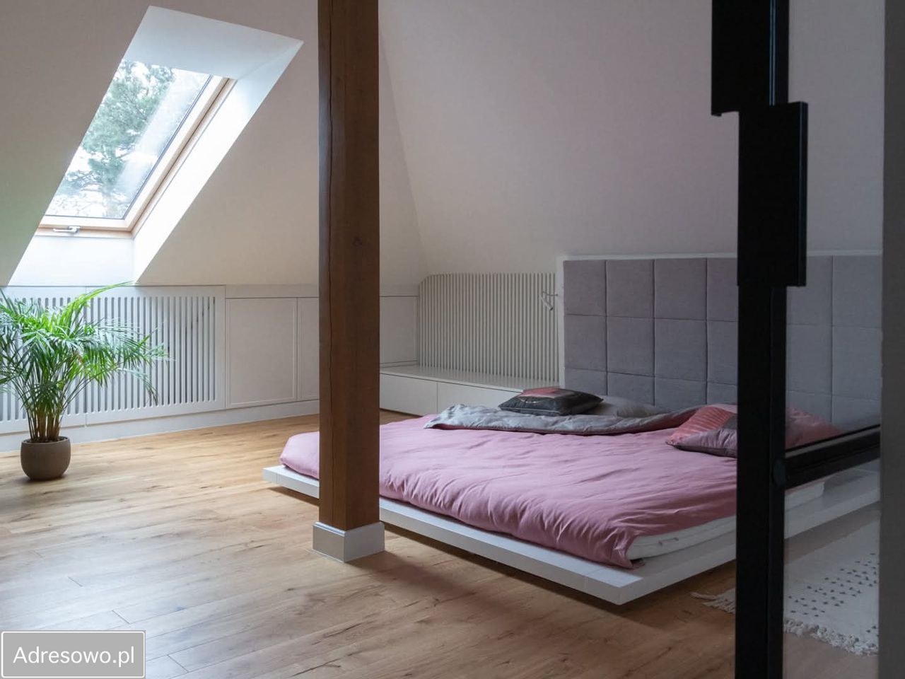 Mieszkanie 4-pokojowe Sulejówek, ul. Sienkiewicza. Zdjęcie 3