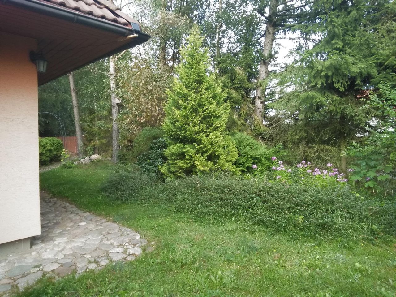 Działka rekreacyjna Skorzewo, w. Zdjęcie 6