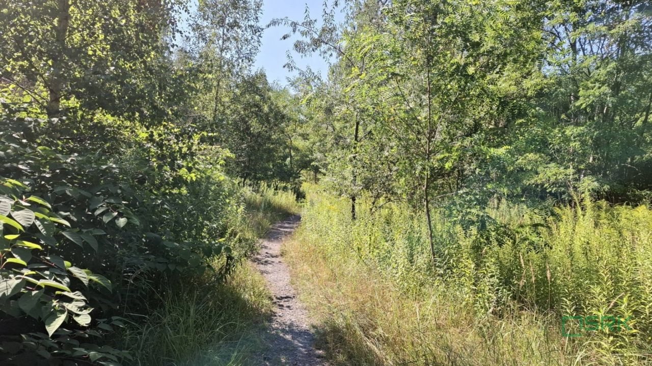 Działka inna Sosnowiec, ul. Jamesa Watta. Zdjęcie 7