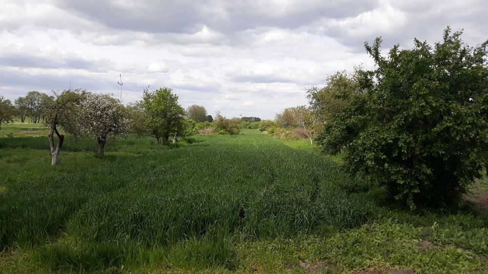 dom wolnostojący, 3 pokoje Grabowno. Zdjęcie 6
