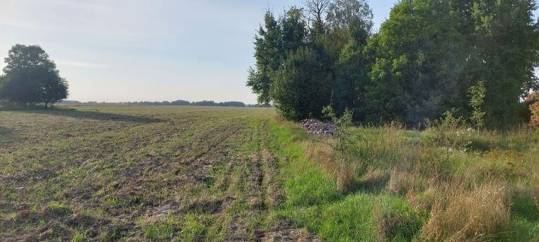 Działka budowlana Polinów. Zdjęcie 6