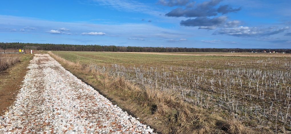 Działka budowlana Charlęż. Zdjęcie 3