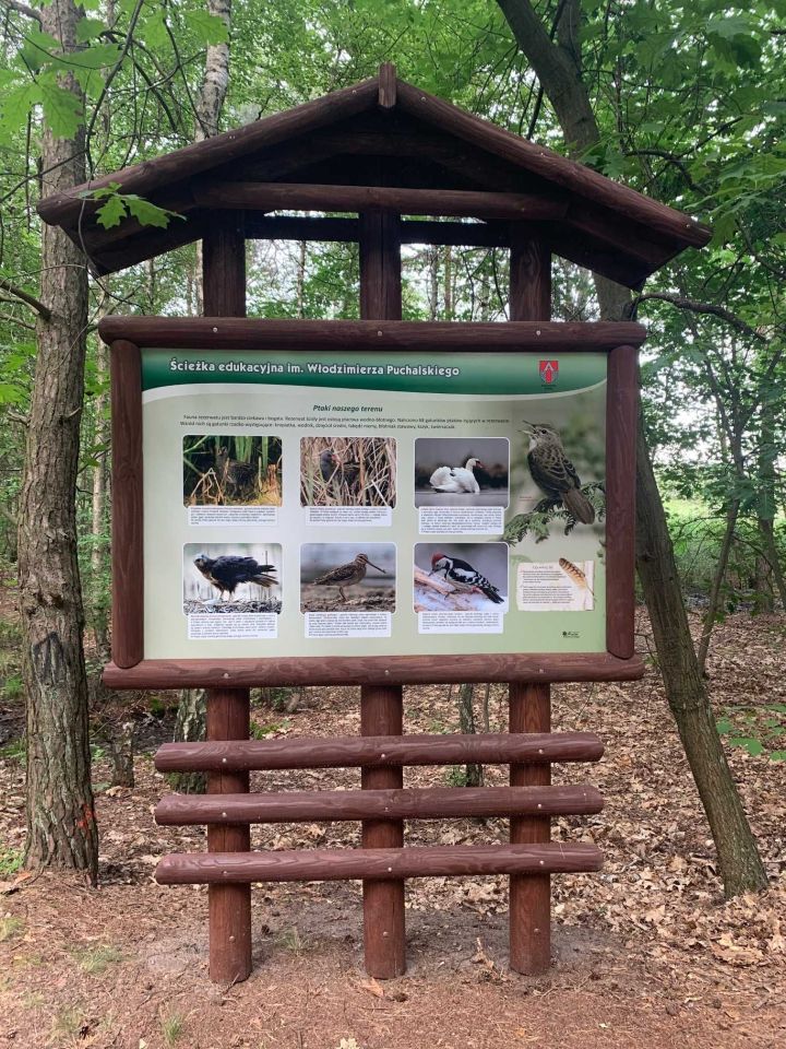 Działka budowlana Aleksandrów Łódzki, ul. Torfowa. Zdjęcie 6