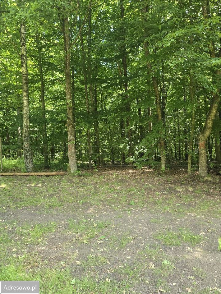 Działka Bogaczewo. Zdjęcie 10