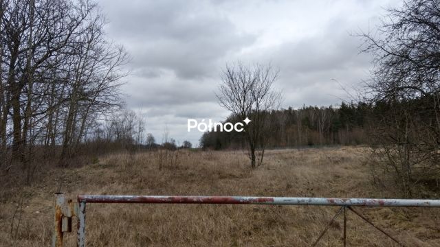 Działka inwestycyjna Jeżewo Stare. Zdjęcie 15