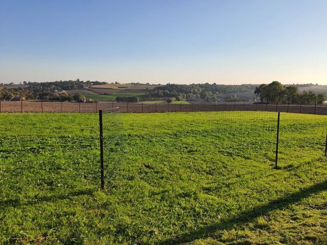 Działka rolno-budowlana Czaple Wielkie. Zdjęcie 1