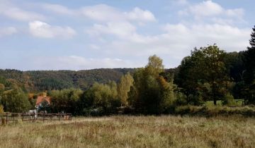 Działka na sprzedaż Zagórze Śląskie  2100 m2