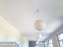 Nieruchomość komercyjna Biestrzynnik. Zdjęcie 4