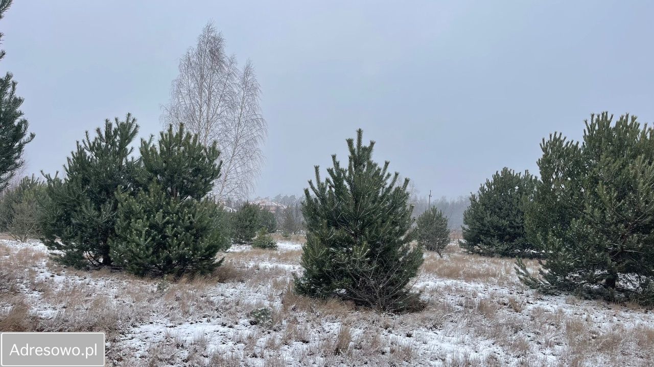 Działka budowlana Walendów, ul. Sadowa. Zdjęcie 3