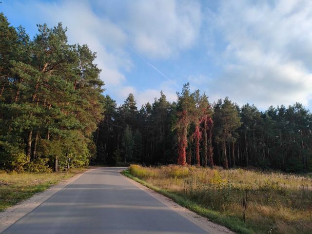 Działka budowlana Żabokliki-Kolonia, ul. Stocka. Zdjęcie 1